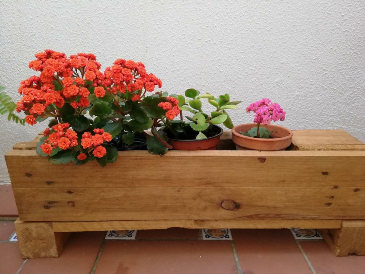 Apartamentos Coralba - Duplex Bahia De Cadiz San Fernando Bagian luar foto